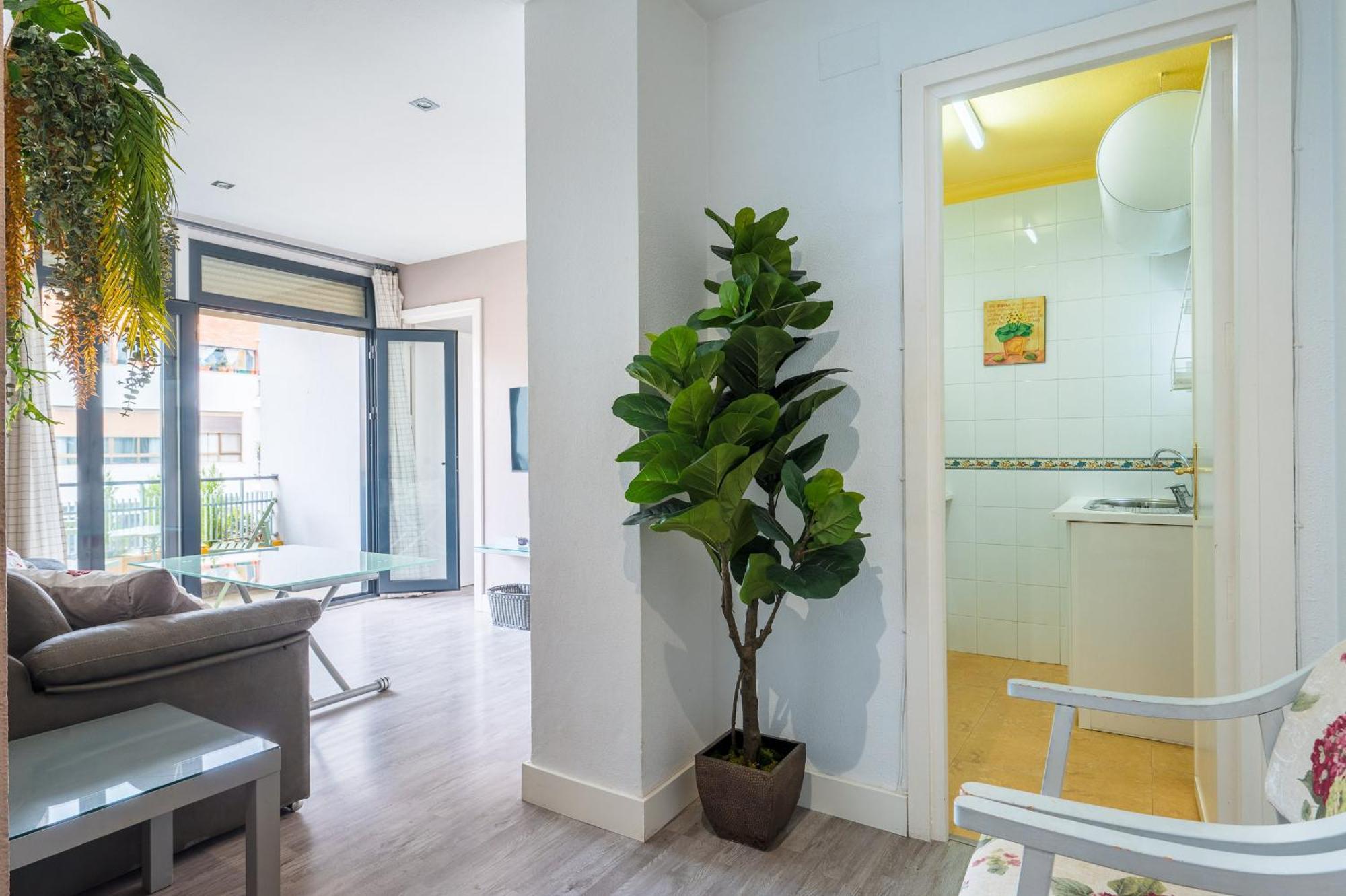 Imagen Parasol Apartament